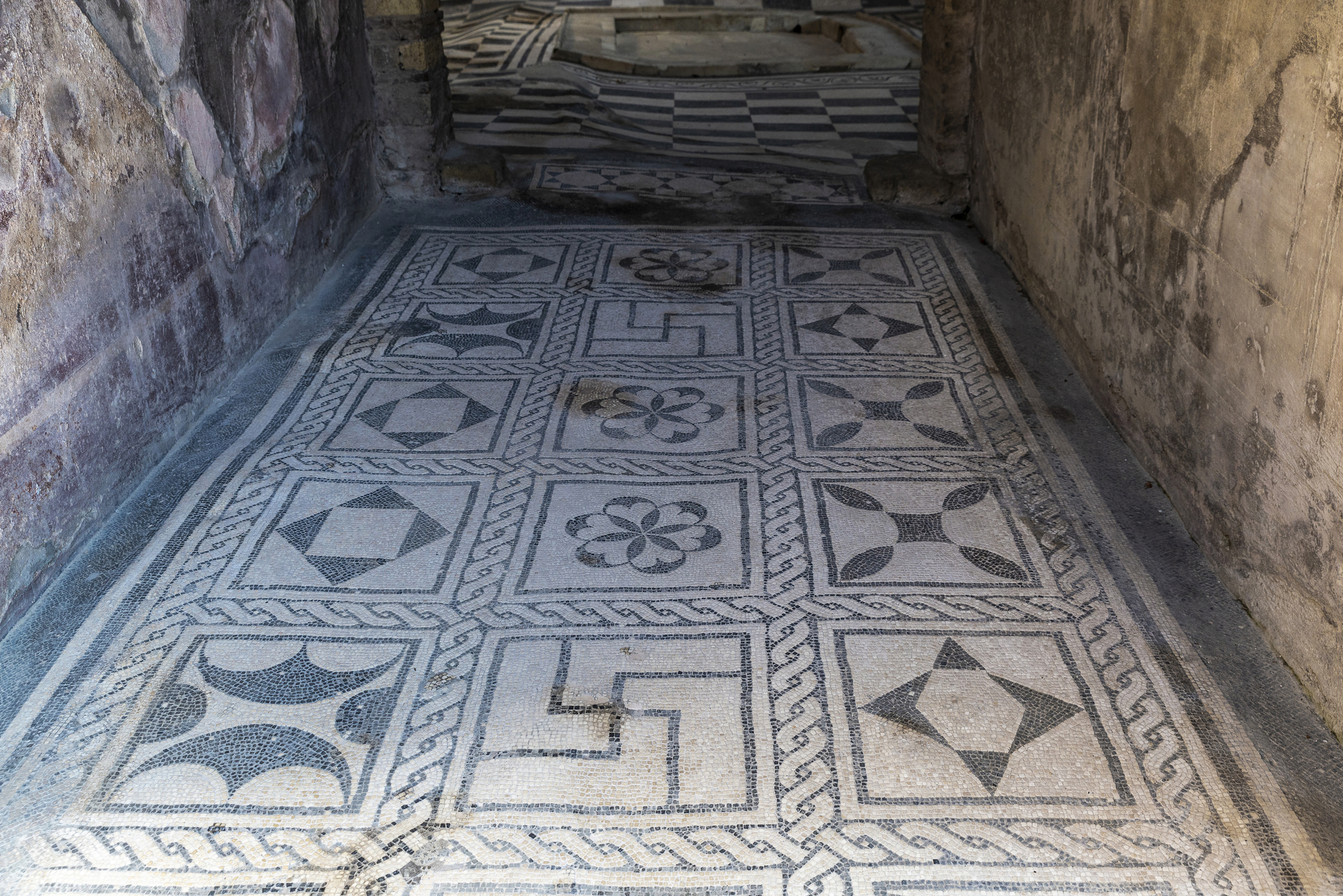 Mosaici casa dell'atrio a mosaico Ercolano