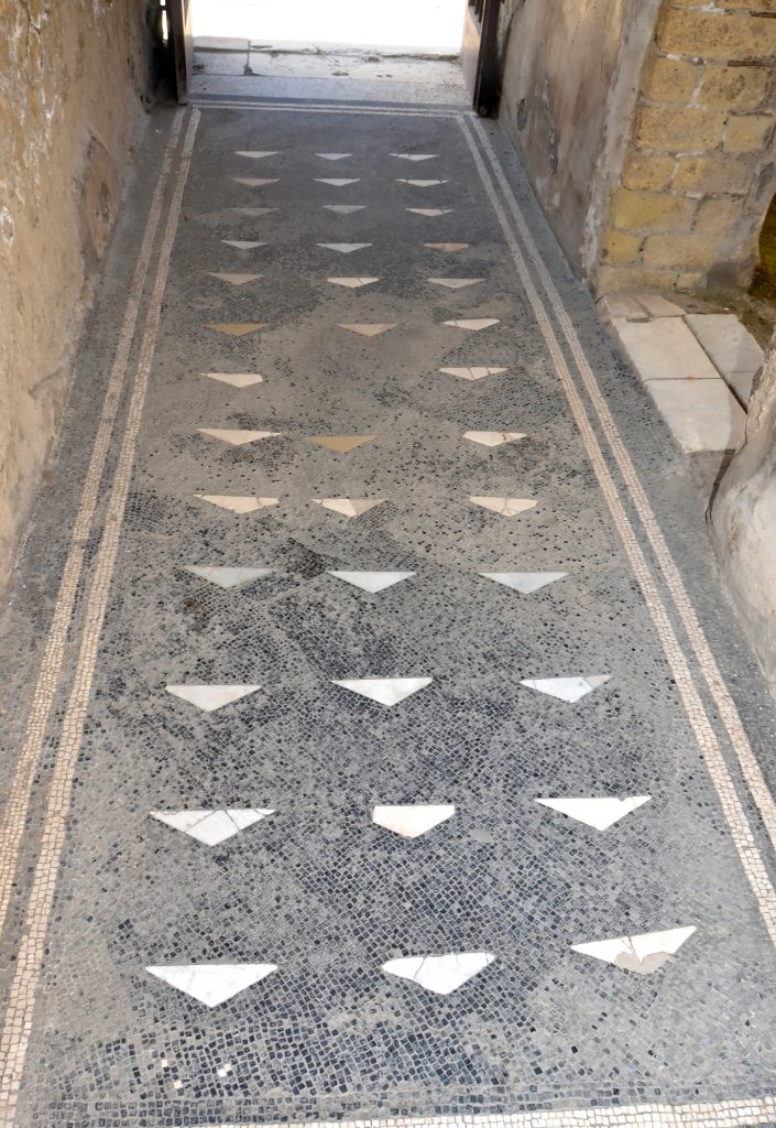 mosaic floor Skeleton house of Herculaneum