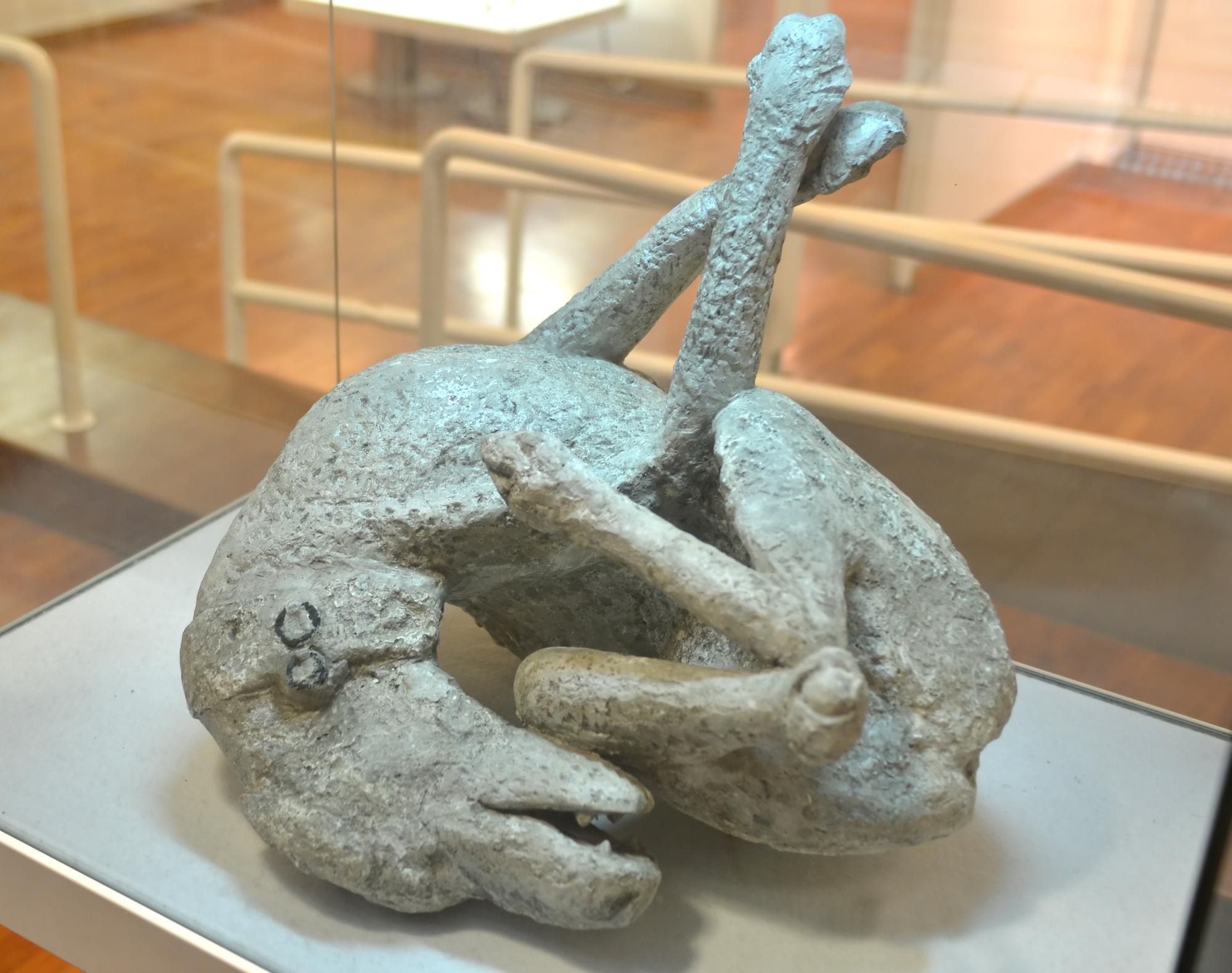 Calco cane di Pompei
