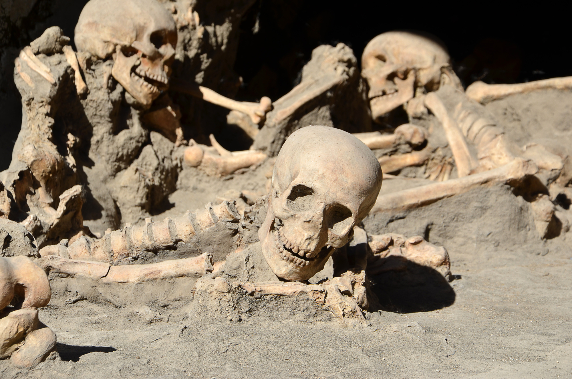 skeletons fornices of Herculaneum