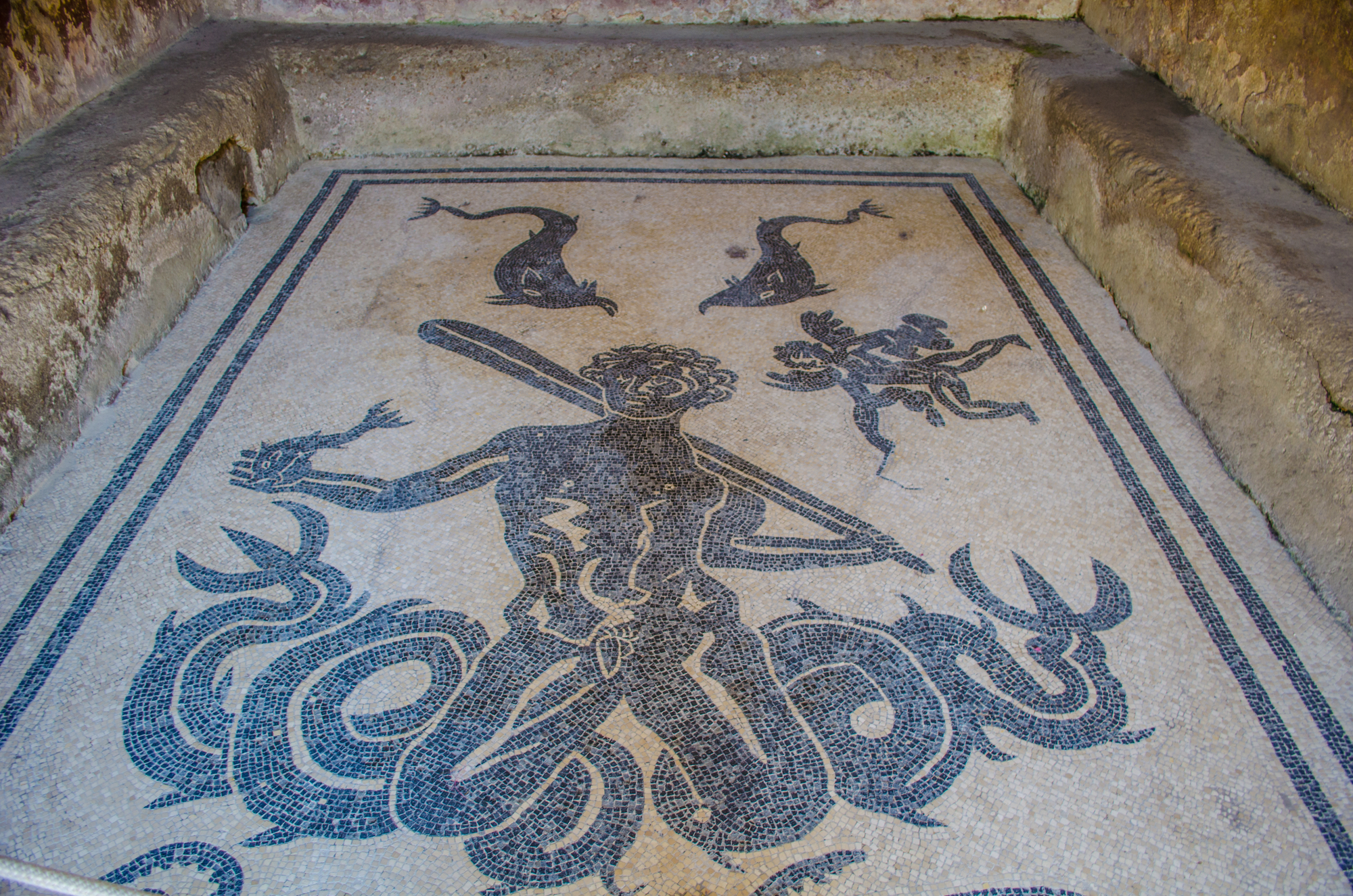 Mosaic suburban baths of Herculaneum