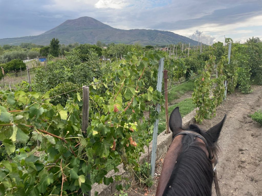 Horseback riding excursion to Vesuvius