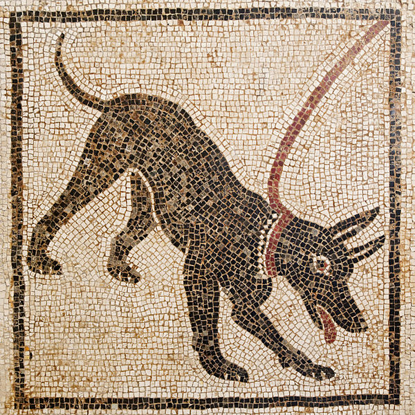 Mosaico cane casa di Orfeo