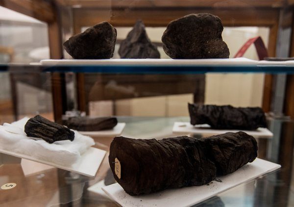 Papyrus rolls preserved in the Naples library