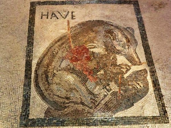 Injured bear mosaic in Pompeii house.