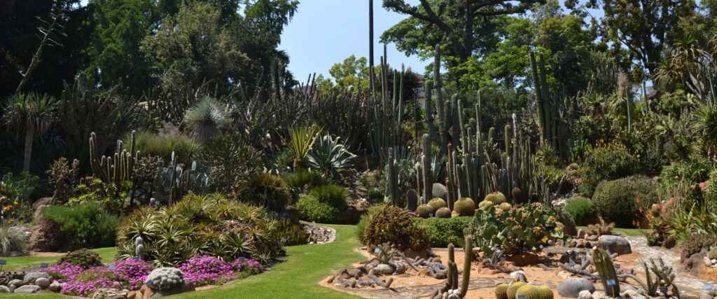 Orto botanico Napoli